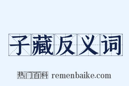 子藏反义词是什么意思的图片